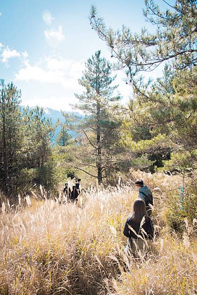 C0A8B9B6-399D-4A30-BC07-8301C3CDB02E C0A8B9B6-399D-4A30-BC07-8301C3CDB02E