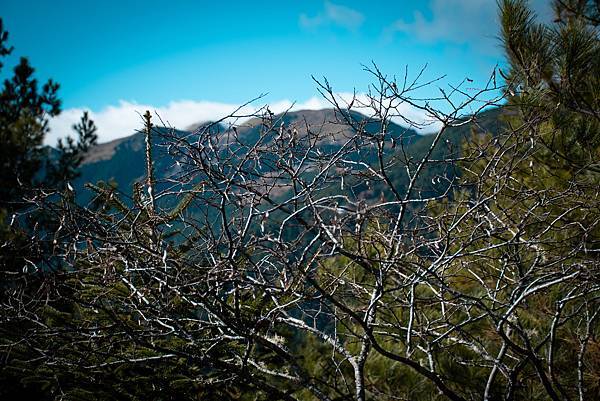 8FD6D1D7-EC2B-42CA-83CB-BB001E490C28 8FD6D1D7-EC2B-42CA-83CB-BB001E490C28