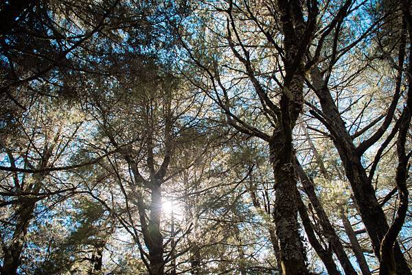 A4550DFF-1B76-480C-B9D7-9479C216F954 A4550DFF-1B76-480C-B9D7-9479C216F954