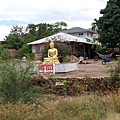 buddha for sale  呵