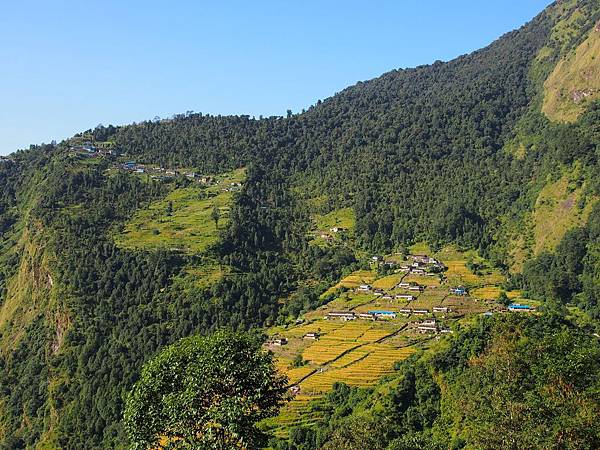 PA070548(001) PA070548(001)