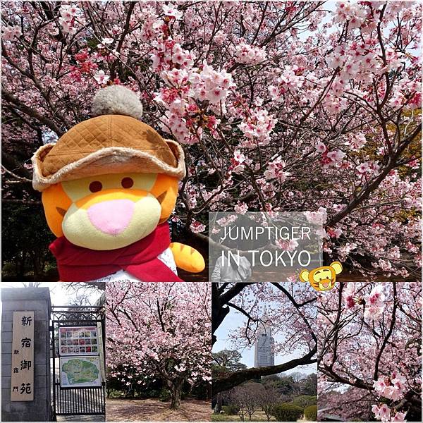 東京自助 粉嫩嫩河津櫻讓人拍不停的東京早春賞櫻小旅行day3 欣傳媒 東京自助 粉嫩嫩河津櫻讓人拍不停的東京早春賞櫻小旅行day3 欣傳媒