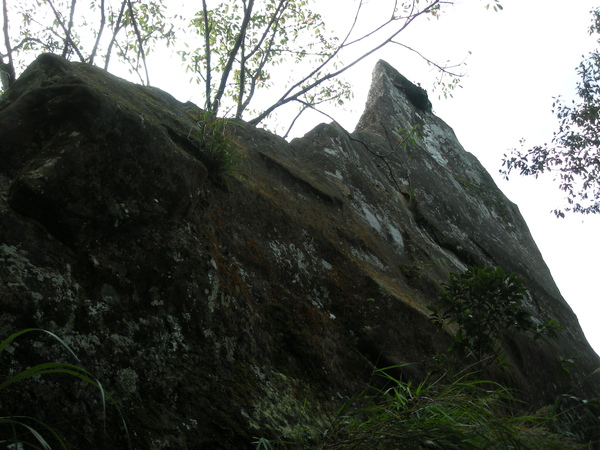 石燭尖.九龍山.峰頭尖東峰 161.JPG