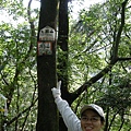 石燭尖.九龍山.峰頭尖東峰 185.JPG