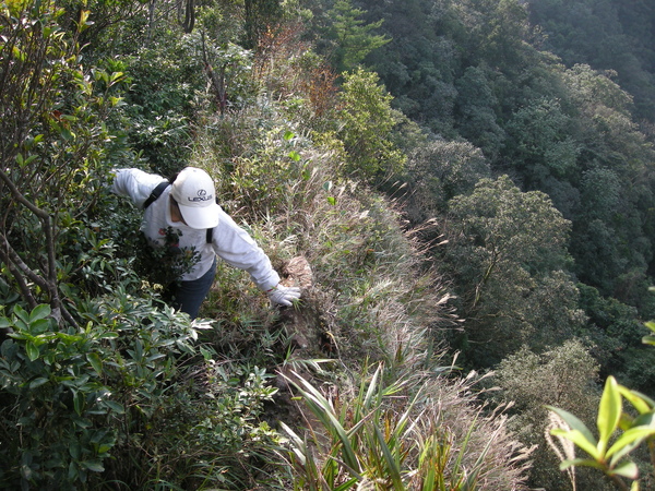 石燭尖.九龍山.峰頭尖東峰 316.JPG