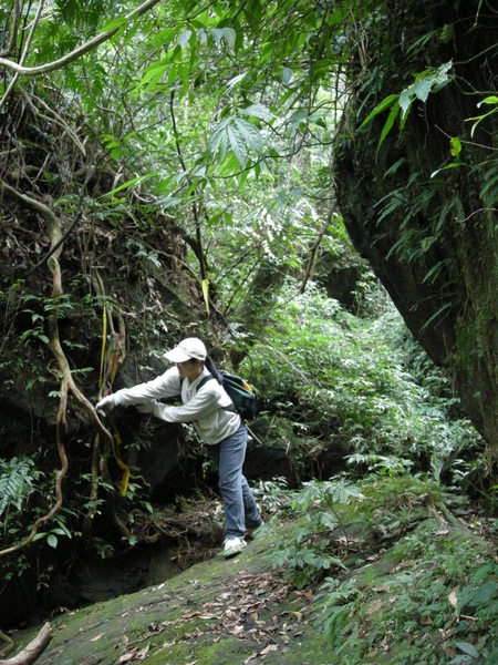 石燭尖.九龍山.峰頭尖東峰 334.JPG