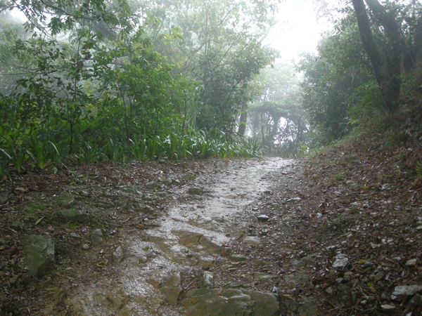 媽.南勢角山.瓊子湖山 040.JPG