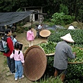 猴山岳,猴山岳前峰 261.JPG