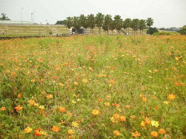 馬場町紀念公園 025.JPG