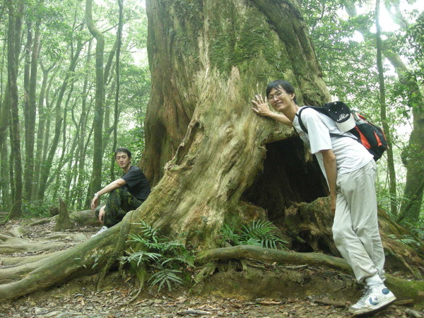 北插水園地.塔開神木.滿月園 210.JPG