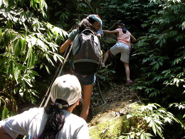 炮仔崙瀑布.石媽祖古道.鎮南宮 095.JPG