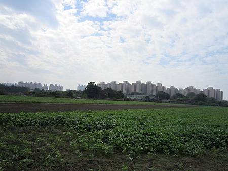 IMG_0719 IMG_0719