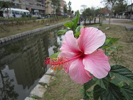IMG_4174.JPG IMG_4174.JPG
