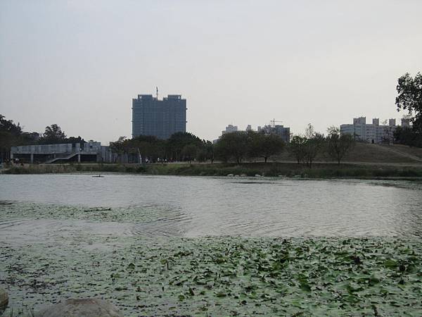 IMG_5582.JPG IMG_5582.JPG
