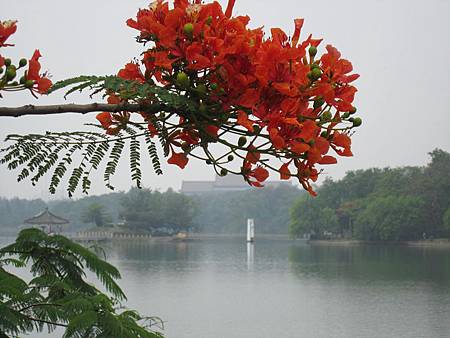 IMG_0192.JPG IMG_0192.JPG