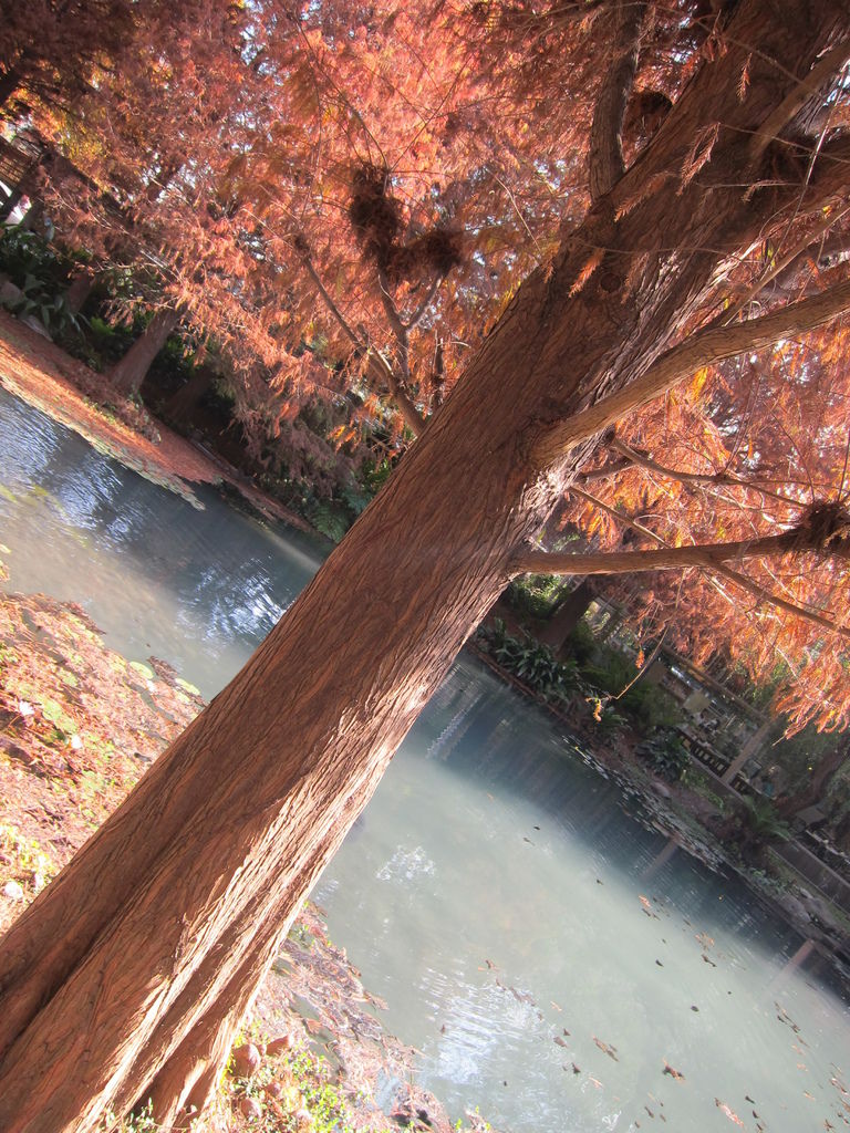 IMG_6801.JPG IMG_6801.JPG