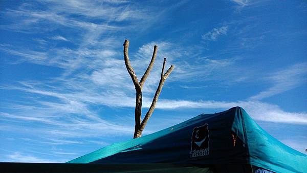 DSC_0413.jpg DSC_0413.jpg