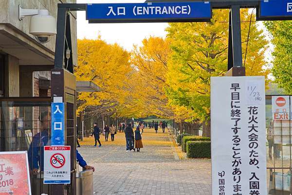 景點 遊記 東京立川市昭和紀念公園賞銀杏必來聖誕節花火賞花郊遊踏青推薦自由行 魚漿夫婦 痞客邦