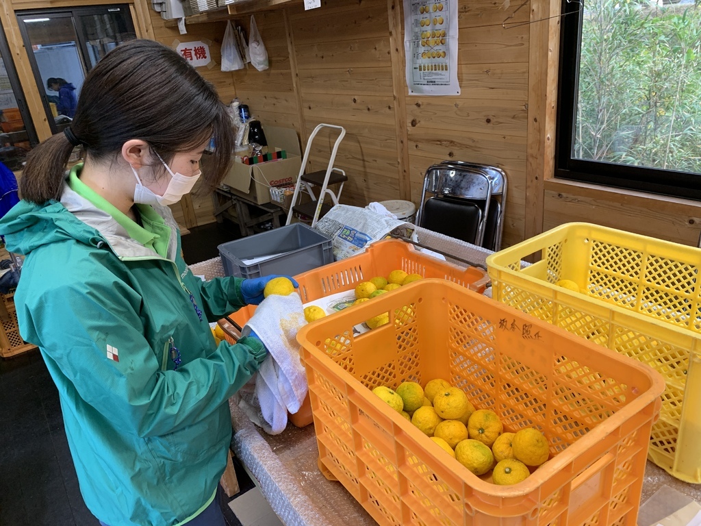 【景點。遊記】高知中藝地區 馬路村 柚子之森加工廠 免費參觀