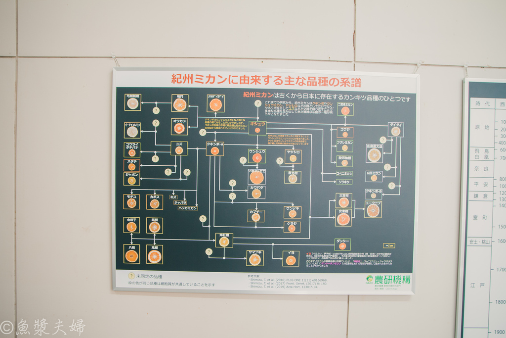 【景點。遊記】高知中藝地區 馬路村 柚子之森加工廠 免費參觀