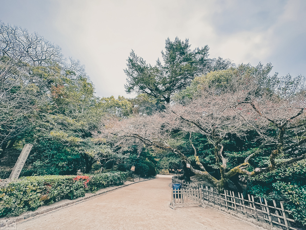 【景點。遊記】岡山縣岡山市 後樂園 一季一見 日後再訪 必訪