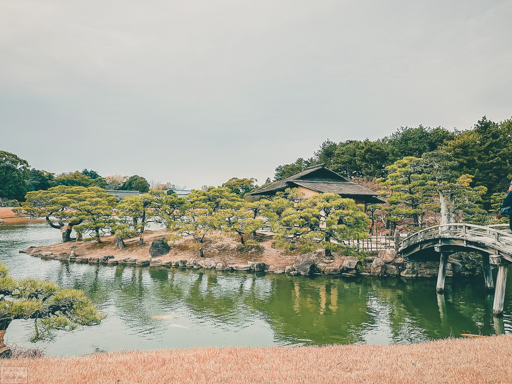 【景點。遊記】岡山縣岡山市 後樂園 一季一見 日後再訪 必訪