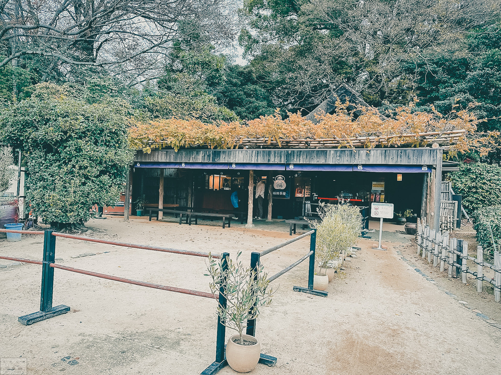 【景點。遊記】岡山縣岡山市 後樂園 一季一見 日後再訪 必訪