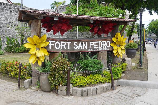 P1190007.jpg P1190007.jpg