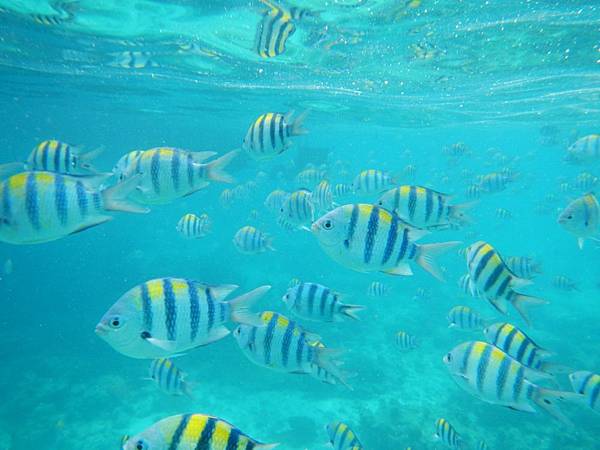 DSCN5386.JPG DSCN5386.JPG