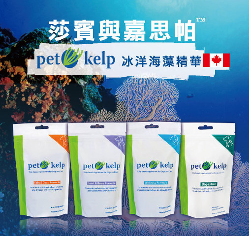 News_pet-kelp.jpg