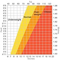 obesity_chart.JPG