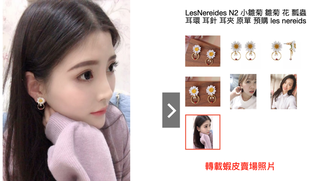 LN_白雛菊瓢蟲_網友03v.png