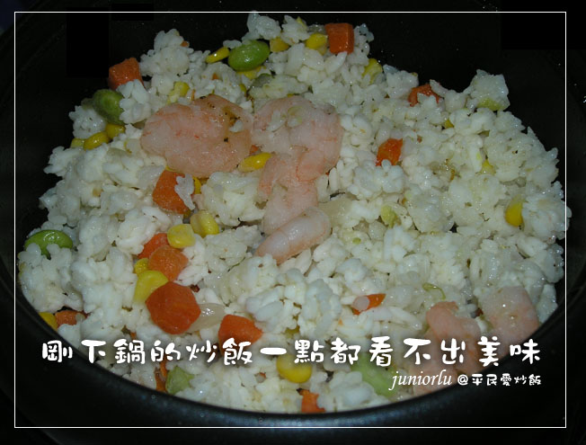 炒飯之初.jpg