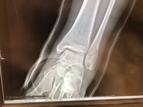 S__27746312.jpg S__27746312.jpg