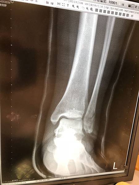 S__27746314.jpg S__27746314.jpg