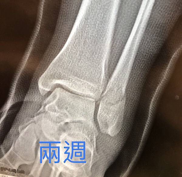 S__27746316.jpg S__27746316.jpg