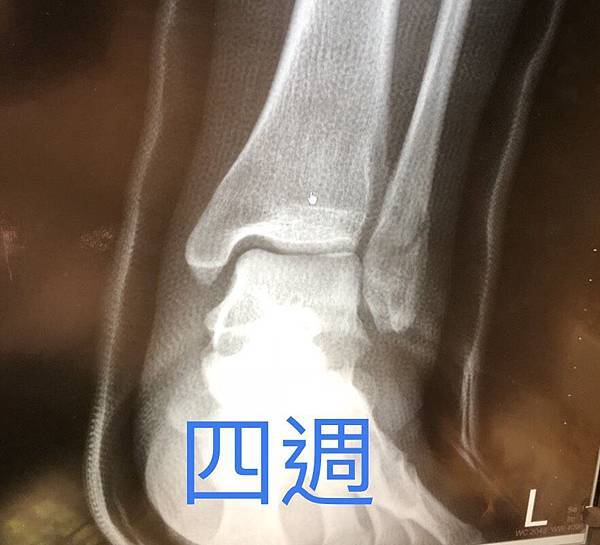 S__27746318.jpg S__27746318.jpg