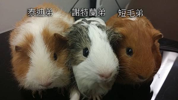 20150718_221048拷貝 20150718_221048拷貝