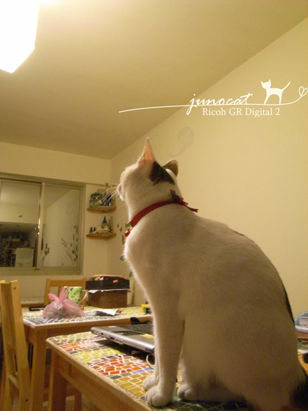 R0013229拷貝.jpg R0013229拷貝.jpg