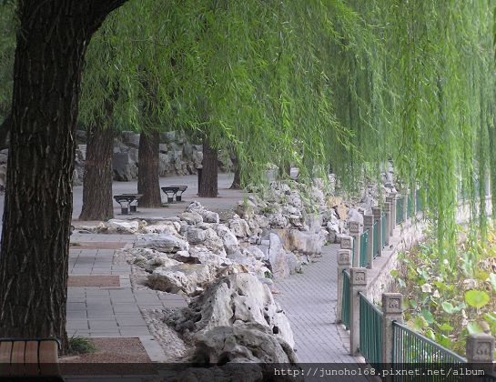 2010.10月北京之旅 591.jpg