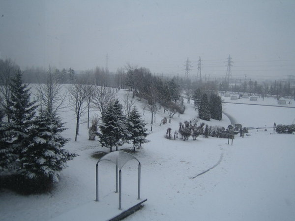 啤酒廠外雪景