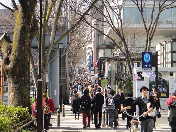 原宿表參大道