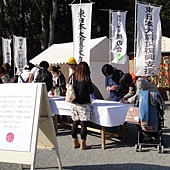 鐮倉八幡宮