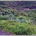 單車環島第7天 IMG_0311.jpg