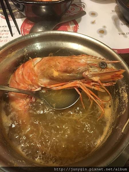 IMG_8367.JPG IMG_8367.JPG