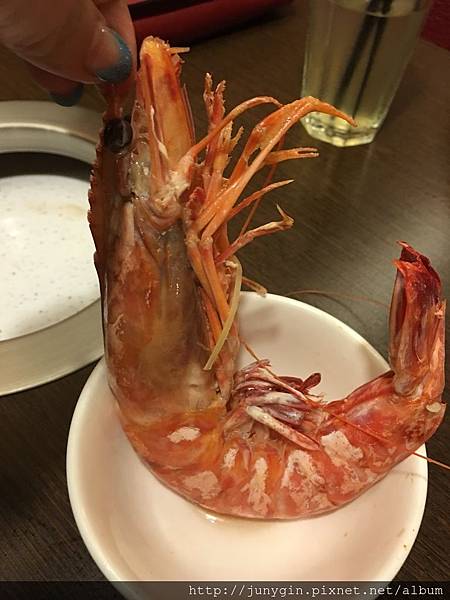 IMG_8371.JPG IMG_8371.JPG