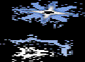 onion-avatar017.gif