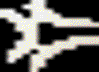 onion-avatar076.gif