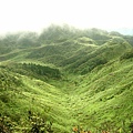 燦光寮山路上，綠得純粹得山谷