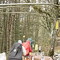 往登山口的路，路口綁了很多路條，好認